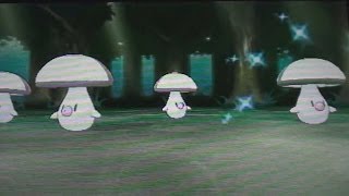 251  What am I doing on Pokemon X SHINY HUNTING [upl. by Wanids542]