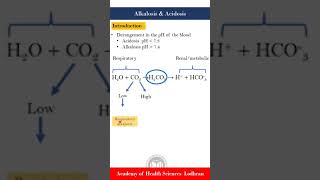 Basics of Alkalosis amp acidosis Metabolic vs Respiratory [upl. by Ardnas665]