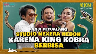 PANJI PETUALANG H4R1M4U ALSHAD T4KUT KING KOBRA PANJI SIAPA TOP PREDATOR SEBENARNYA  KKN [upl. by Anitsua]