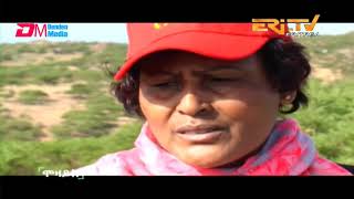 ታሪኽ ደርፊ ሓሬና  History of the song Harena  Song replayed by Saba Andemariam  ERiTV [upl. by Lekzehcey316]