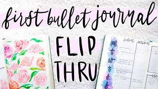 Flip Through  My First Bullet Journal [upl. by Lusty763]