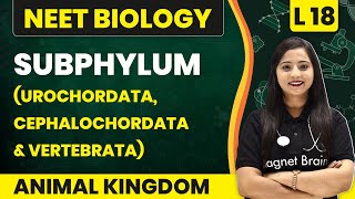 Subphylum  Urochordata Cephalochordata amp Vertebrata  Animal Kingdom  L18  NEET Biology [upl. by Dahs]