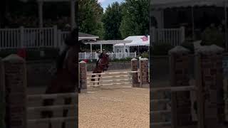 Lamplight equestrian showhitshorseshow funequestrianfypシ゚viral [upl. by Enelrihs967]