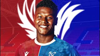 Matheus Franca ● Welcome to Crystal Palace 🇧🇷 Best Skills Goals amp Tackles [upl. by Eitten538]