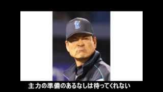 【野球替え歌】 BAYSTARS RUSH 原曲MIRACLE RUSH [upl. by Asille]