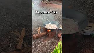 viralvideo torresmos no tacho anaturezapreservandoavida [upl. by Anitsud857]