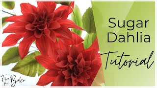 Gumpaste Dahlia Tutorial ⎸Dinnerplate Dahlia Sugar Flower [upl. by Ynohtnaed524]