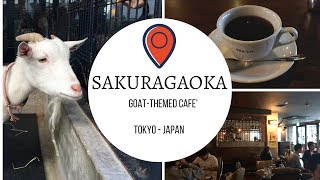 Sakuragaoka Cafe in Tokyo Japan [upl. by Maddy]