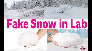 Experimental of Making Fake Snow with Sodium Polyacrylate [upl. by Dias]