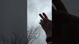 video 6 t cell storm San Ramon CA [upl. by Naeloj]