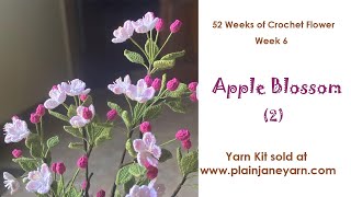 Apple Blossom 2  Flower of Week 7 [upl. by Lowenstern]