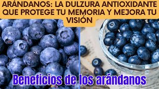 Arándanos La Dulzura Antioxidante que Protege tu Memoria y Mejora tu Visión [upl. by Panthia729]