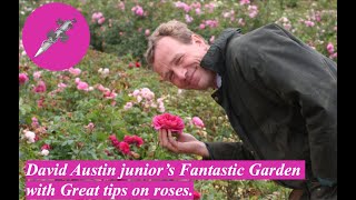 David Austin Junior’s Fantastic Garden with Great tips on roses [upl. by Tuchman935]