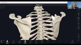 SonoAnatomy of Thoracic Spine  Intercostal Nerve Block  Paravertebral Block  Erector Spinae Block [upl. by Eibbed]