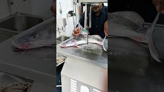 Viral river Ayer fish cutting skills video giant river fish cutting social shorts fish short [upl. by Etennaej]