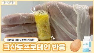 하또실 크산토프로테인 반응Xanthoproteic test 방향족 아미노산의 검출 단백질 검출 실험 [upl. by Olen]