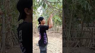 Jangan ambil daun tanaman mahal comedy shorts [upl. by Tildy]