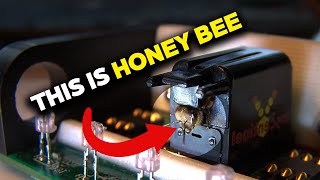 What Are These People Doing to The Bees [upl. by Aikemal]