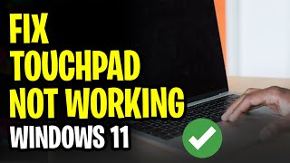 How to Fix Touchpad Not Working Windows 11  SOLVED for 2024 [upl. by Kiefer]