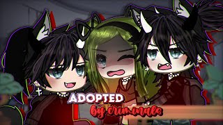 Adopted by CRIMINALS ⁉️  Gacha Life  GLMM  Mini Movie  ORIGINAL [upl. by Hosea686]