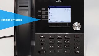 6920 Phone Monitor Extension [upl. by Annora]