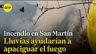 Lluvias ayudarían a apaciguar incendio forestal en la región San Martín [upl. by Durware]