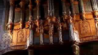 Bombardes of Albi Cathedral organ [upl. by Anoerb]