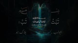 Tabbat Yada Surah  Tabbat Yada Abi Lahabi Watab  Quran Tilawat Quran Beautiful Recitation🤲 [upl. by Namaj]