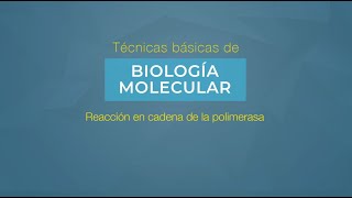 Práctica virtual Reacción en Cadena de la Polimerasa [upl. by Zoellick]