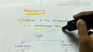 Meningitis  Pathology  Handwritten notes [upl. by Macswan203]