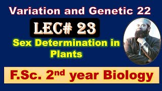 Biology chapter 22 Lecture No23 Sex Determinantion in Plants FSc 2nd Year [upl. by Alleda]