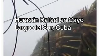 Meteo impatto devastante dell’uragano Rafael su Cuba [upl. by Teraj]