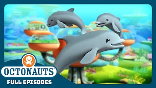 Octonauts  🐬 The Dolphin Reef Rescue ⛑️  Season 1  Full Episodes  Cartoons for Kids [upl. by Adyaj]