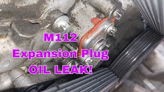 99 MercedesBenz CLK 320 Oil Leak from Expansion Plug [upl. by Nomead]