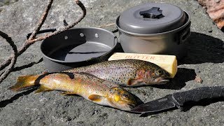 Catch and Cook and Camp Ep 3  Solo 2 Night 3 Days in the Wild  No Tent [upl. by Grishilde]