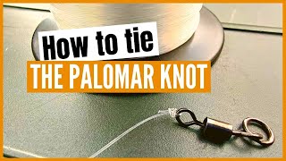 Palomar knot How to tie the Palomar knot to your swivel and make sure it’s strong enough [upl. by Nazay]