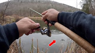 A Quick And SIMPLE Way To CATCH Crappie From The BANK [upl. by Alenson]