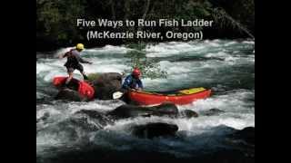 Five Ways to Run Fish Ladder McKenzie River Oregon [upl. by Akienaj]