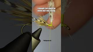 The Game Warden  Fly Tying Tutorial [upl. by Hillard385]