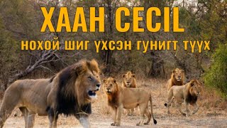 Cecil арслангийн түүх Гоё түүхүүд Arslan tuuh Goe tuuhuud mongol heleer kino Barimtat kino [upl. by Anitel]