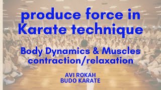 Produce force in Karate technique  body dynamics amp muscles contractionrelaxation [upl. by Ainav469]