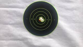 200 yards 1861 Springfield musket rifle 58 cal [upl. by Hyacinthe]