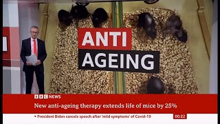 Scientists discover antiageing holy grail that can stop cancer and grey hair in its tracks Global [upl. by Ewen18]