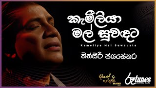 Kameliya Mal Suwadata  කැමීලියා මල් සුවඳට  Kithsiri Jayasekara  DAWASAK DA HANDAWAKA RooTunes [upl. by Nahoj641]