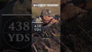 SHOCKING HEADSHOT ON WILDEBEEST  500 YARDS [upl. by Synned]