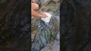 natural spring from rocks watersprings viralshort satisfying provincelife [upl. by Webb]