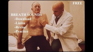 Breath Sounds  Master Auscultation Skills in 10 minutes [upl. by Ahsiem895]