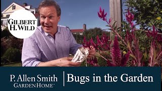 All About Bugs in the Garden  Garden Home 1510 [upl. by Westhead854]