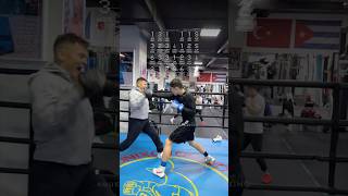 Try This 23PUNCH Boxing Combo 🥊 [upl. by Marielle]