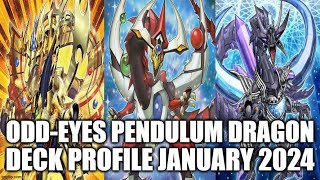 ODDEYES PENDULUM DRAGON DECK PROFILE JANUARY 2024 YUGIOH [upl. by Faxon]